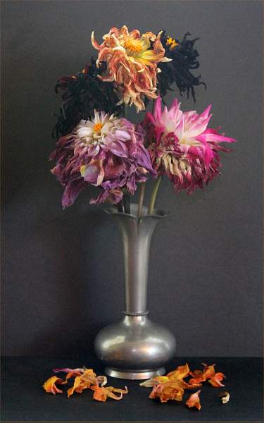 DAHLIAS  (still life).jpg - SET